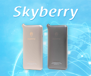 Skyberry デバイス